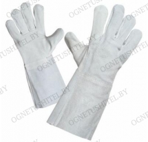 �������� ��������� ��������� ( �����) (���� ���������)