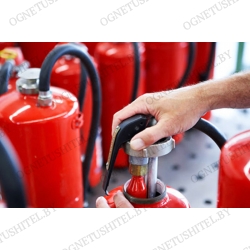 ����������� ������������� 