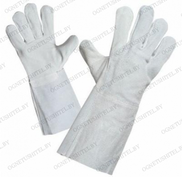 �������� ��������� ��������� ( �����) (���� ���������)