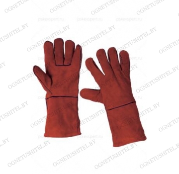 ����� �������� "����" (���� ���������)