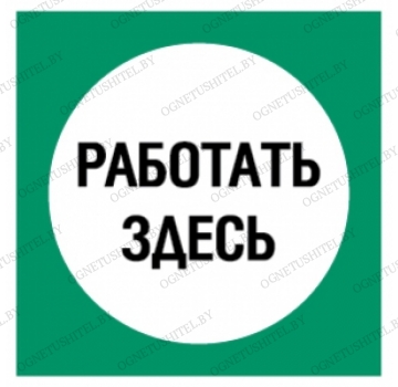 ���� �������� �����