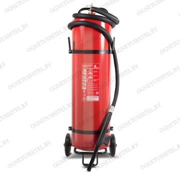 ����������� ������������ ��-100 